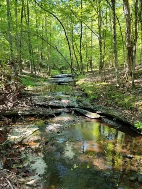 1075 Rose Hill Rd Tract 2, Pulaski, TN 38478 - Image #3