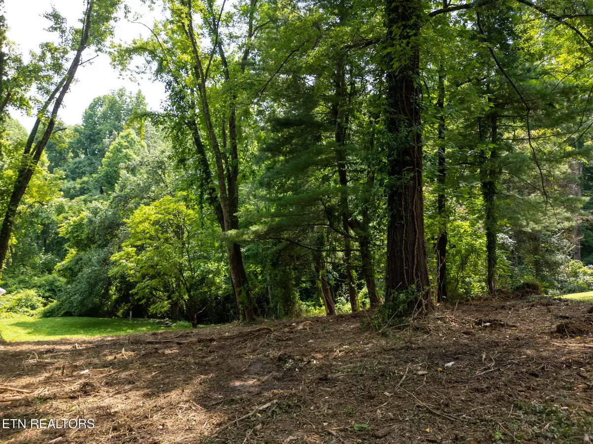 107 Jay Lane, Oak Ridge, TN 37830 - Image #1