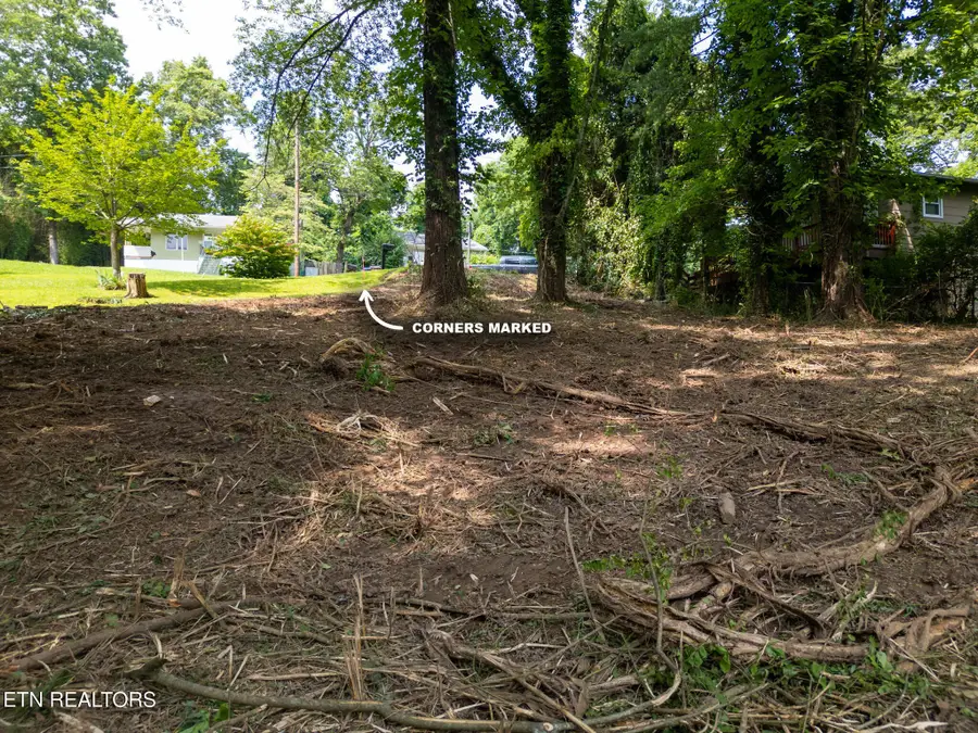 107 Jay Lane, Oak Ridge, TN 37830 - Image #3