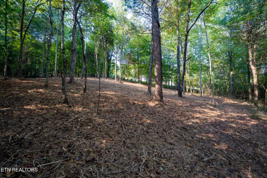 358 Valley Drive, Loudon, TN 37774 - Image #3