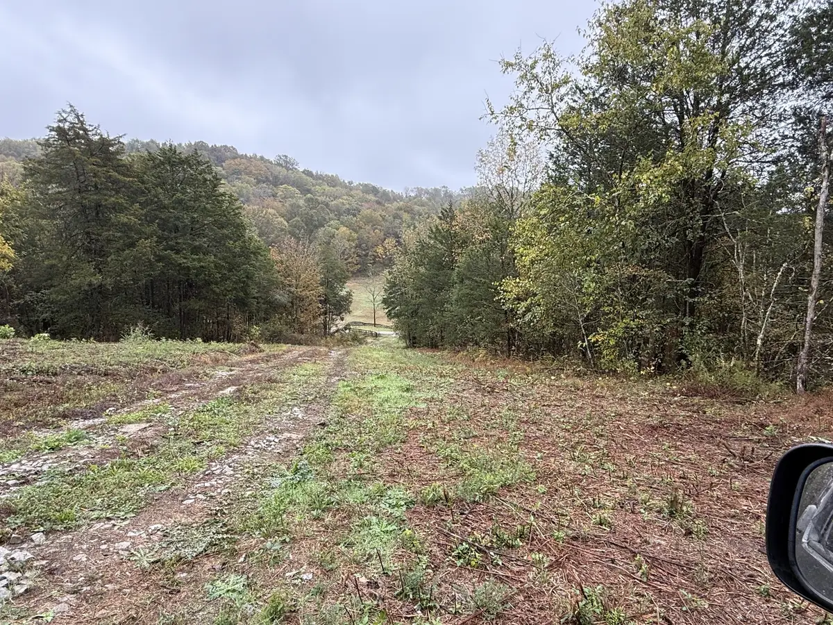 0 Beaver View Ln, Cornersville, TN 37047 - Image #1