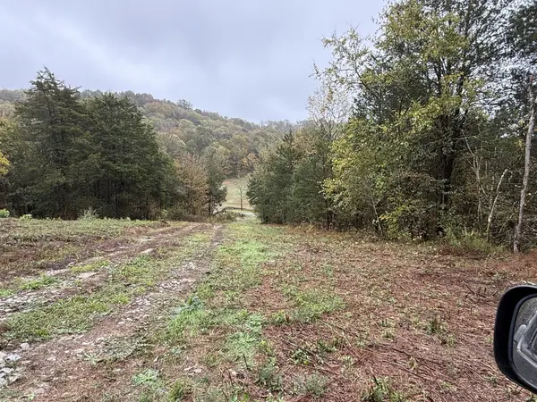 0 Beaver View Ln, Cornersville, TN 37047