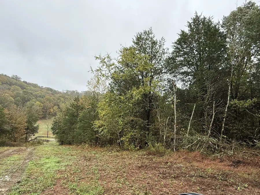 0 Beaver View Ln, Cornersville, TN 37047 - Image #3