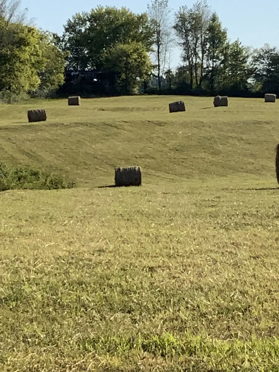 0 Deer Ridge Road, Primm Springs, TN 38476 - Image #2