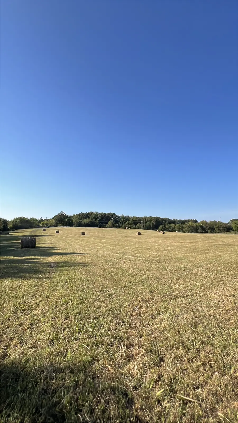 0 Deer Ridge Road, Primm Springs, TN 38476 - Image #3