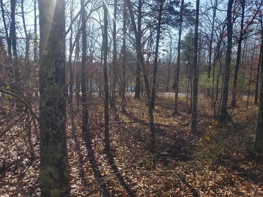 44 Hemlock Ln, Spencer, TN 38585 - Image #2