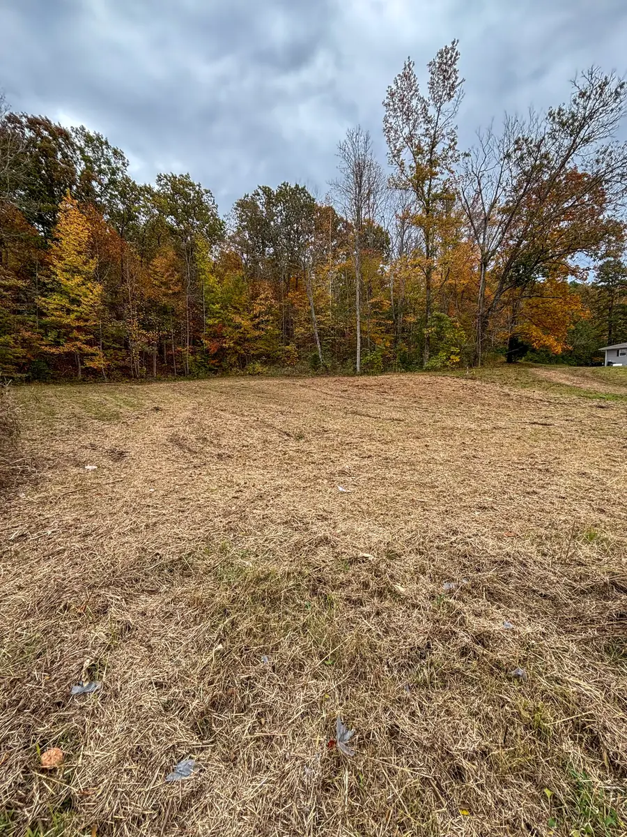 0 Centerville Hwy, Hohenwald, TN 38462 - Image #2
