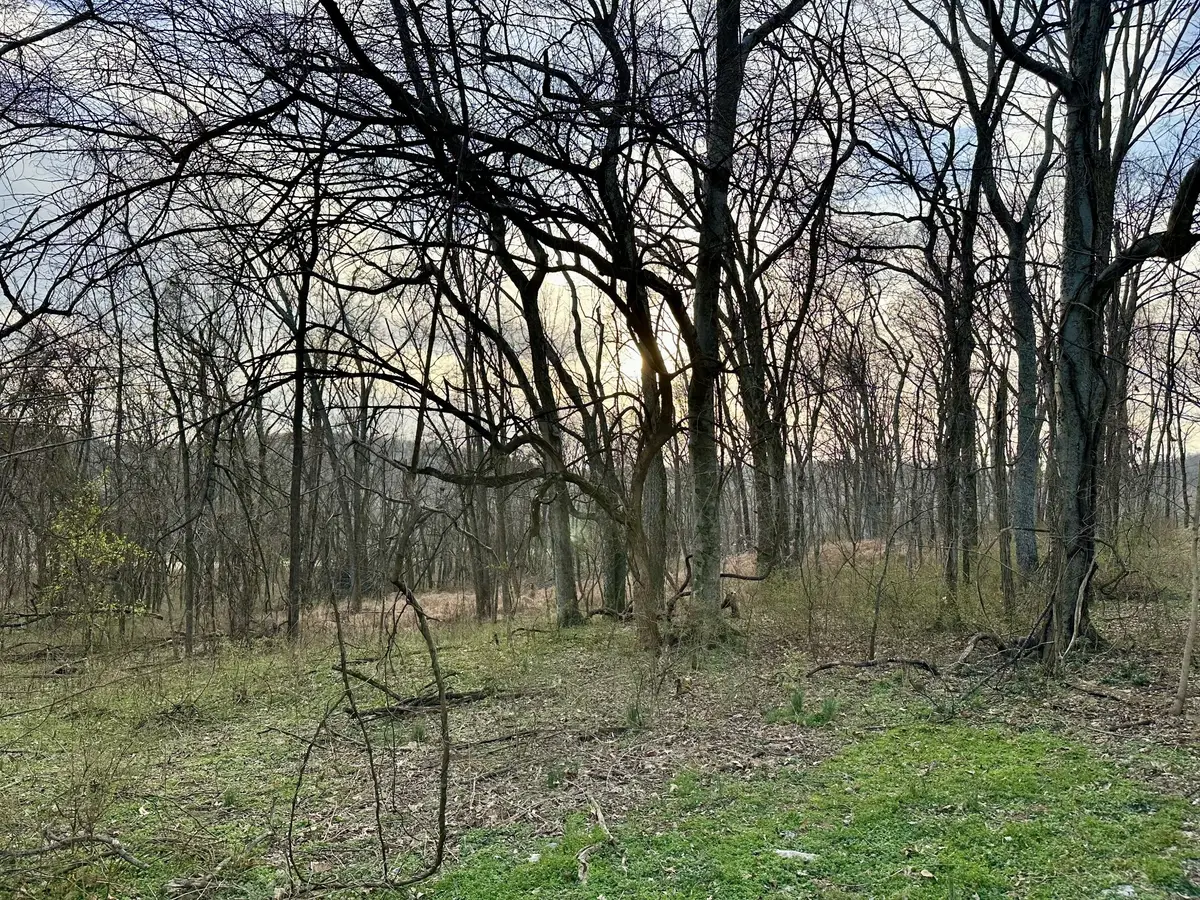 2980 Swindell Hollow Rd, Lebanon, TN 37087 - Image #1