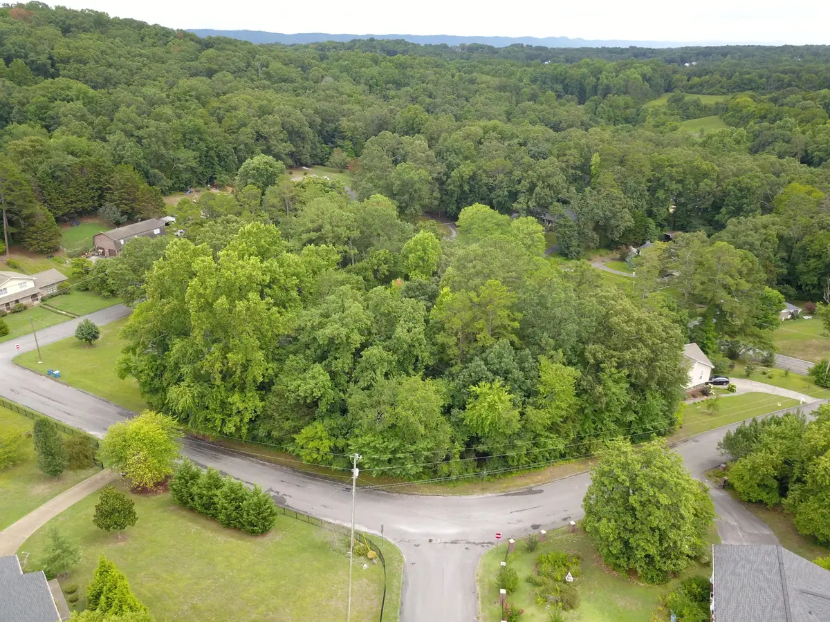 0 Maple Way, Ringgold, GA 30736 - #1