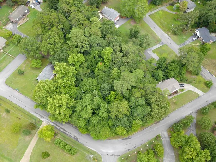 0 Maple Way, Ringgold, GA 30736 - #3