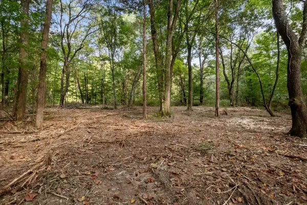 4407 Highway 231, Mc Ewen, TN 37101