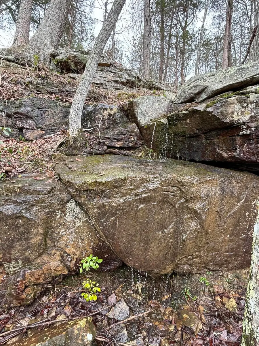 0 Raulston Falls Road, Jasper, TN 37347 - Image #3