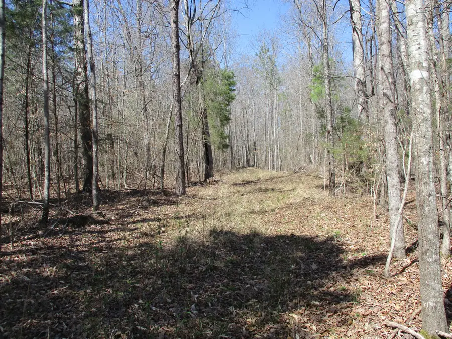 0 Wilkinstown Rd, Parsons, TN 38363 - Image #2