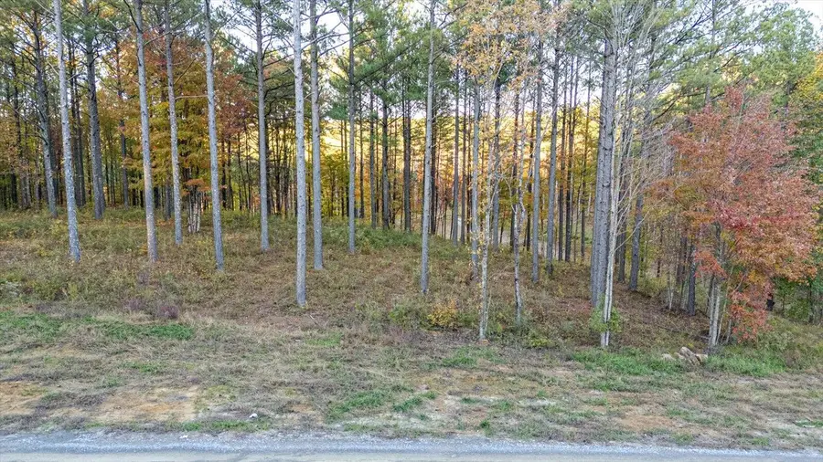 0 Split Rail Way, Guild, TN 37340 - #3