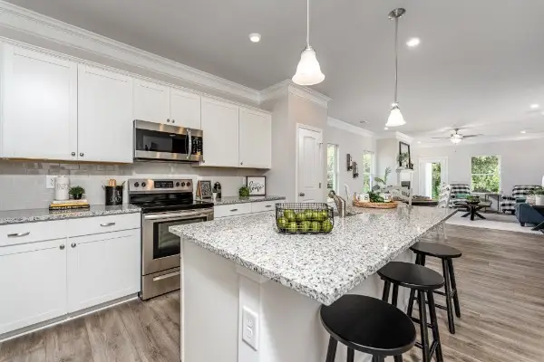 713 Wilderland Way, Clarksville, TN 37042 - Image #3