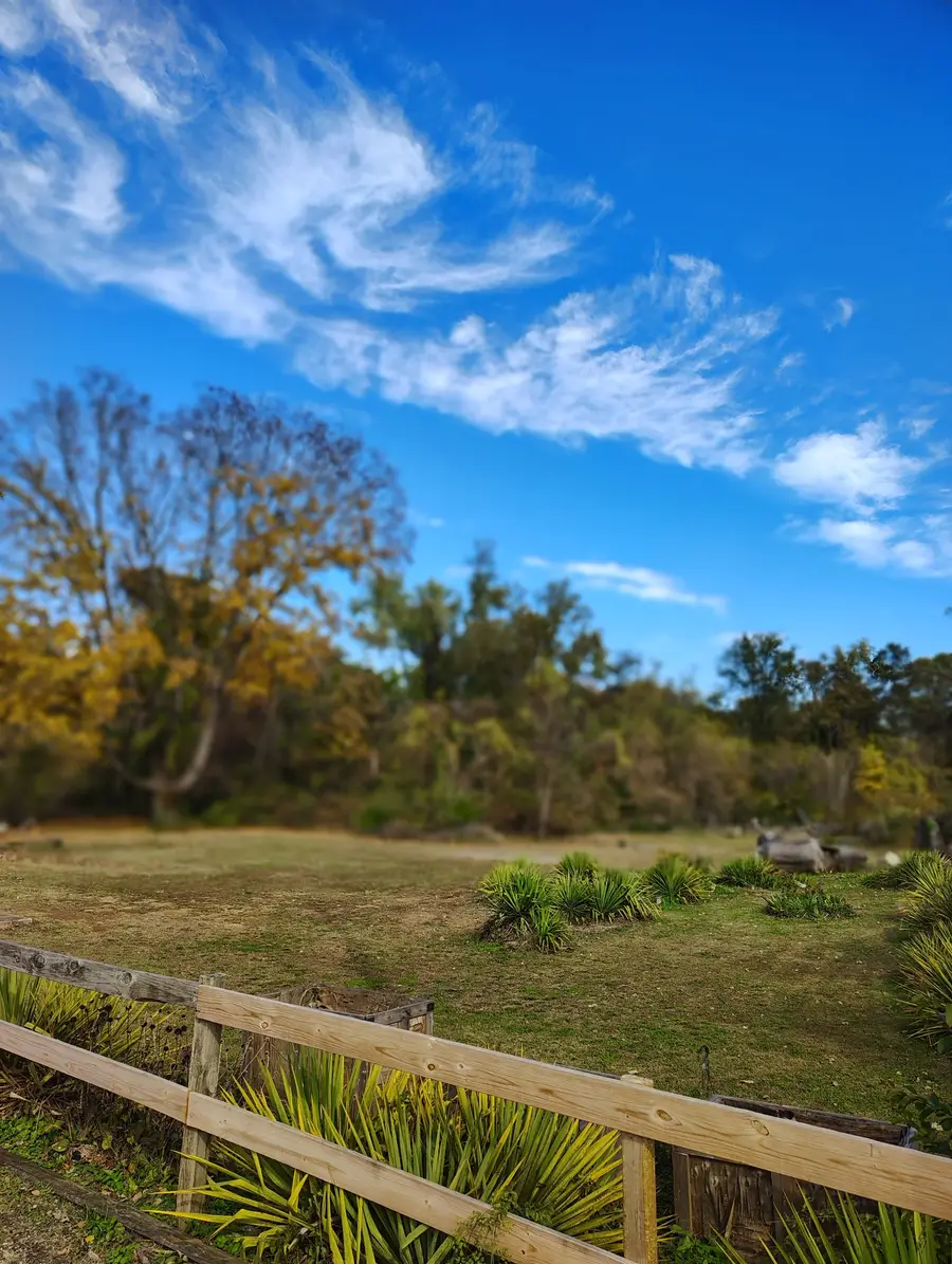 848 21st St E, Hopkinsville, KY 42240 - Image #2