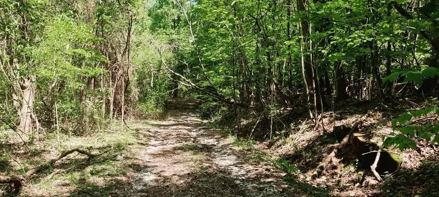 0 Coburntown (lot 13) Road, South Pittsburg, TN 37380 - Image #2