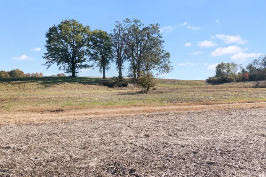 0 Hwy 431 N, Springfield, TN 37172 - Image #2