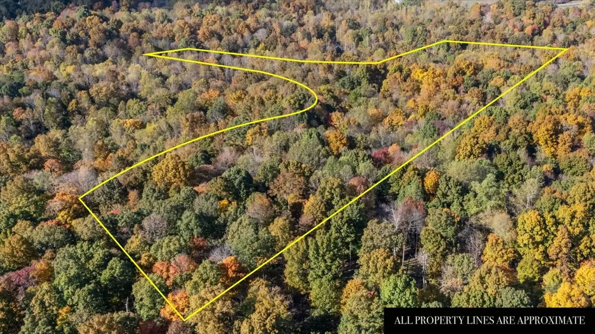 876 Little Leatherwood Rd, Vanleer, TN 37181 - Image #1