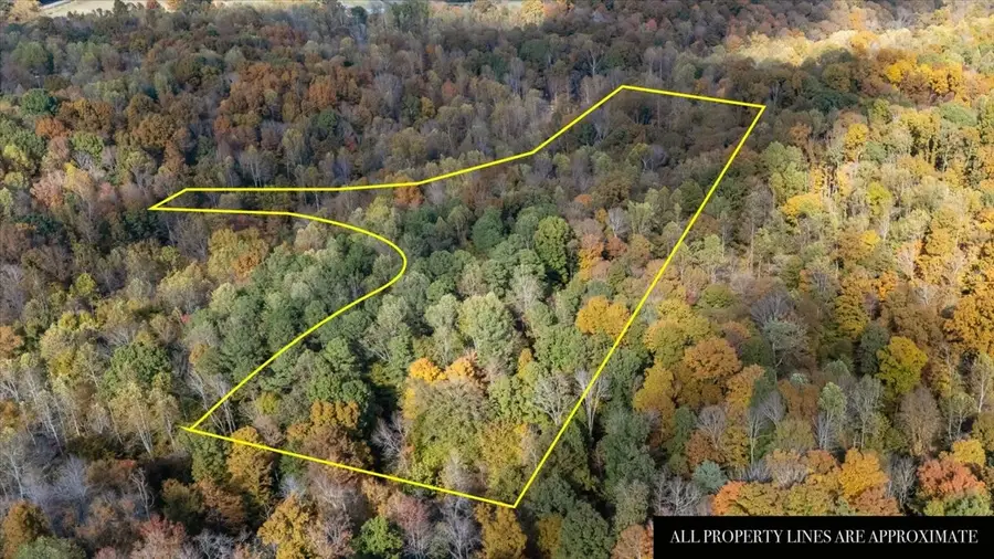 876 Little Leatherwood Rd, Vanleer, TN 37181 - Image #3