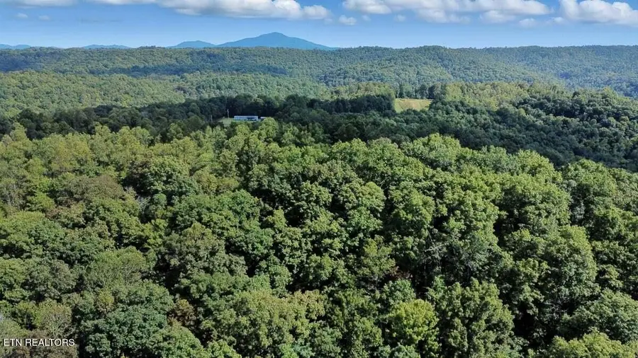 258 Charlie Newberry Rd, Lancing, TN 37770 - Image #2