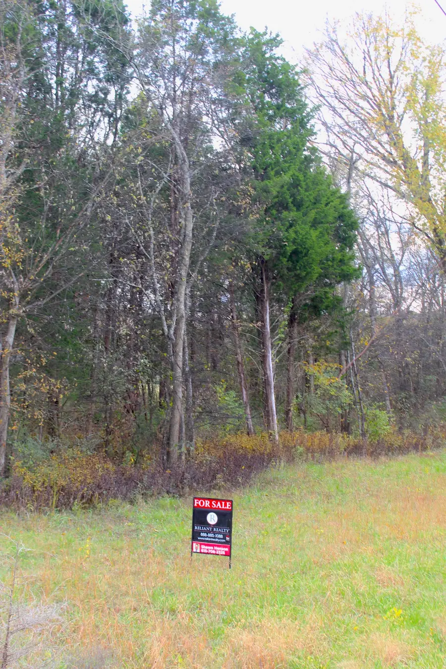 100 Fisher Dr, Lebanon, TN 37087 - Image #3