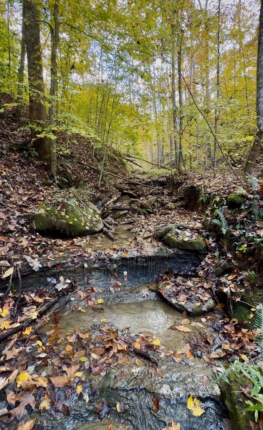 1 Robbins Rd E, Robbins, TN 37852 - Image #2