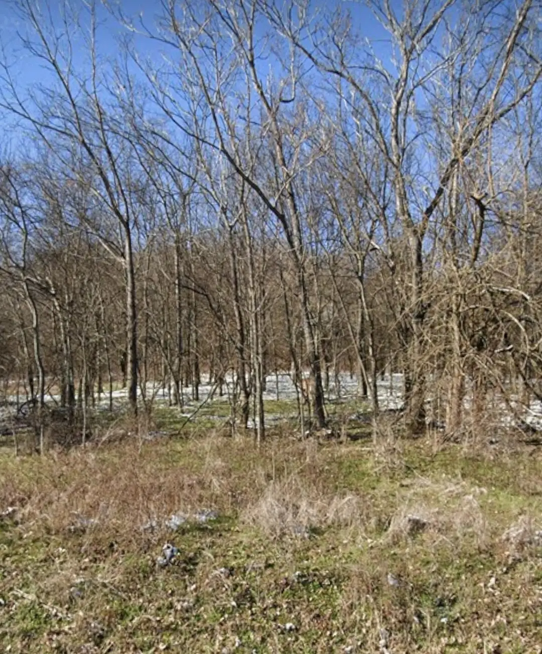 13 Center Point Rd, Hendersonville, TN 37075 - Image #1