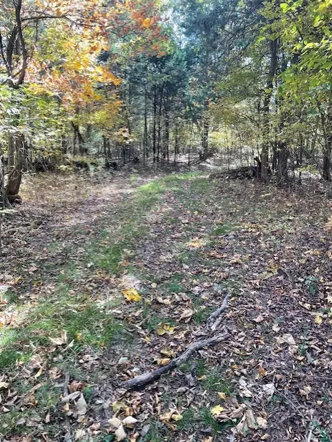 0 Old Nashville Dirt Rd, Shelbyville, TN 37160 - Image #2