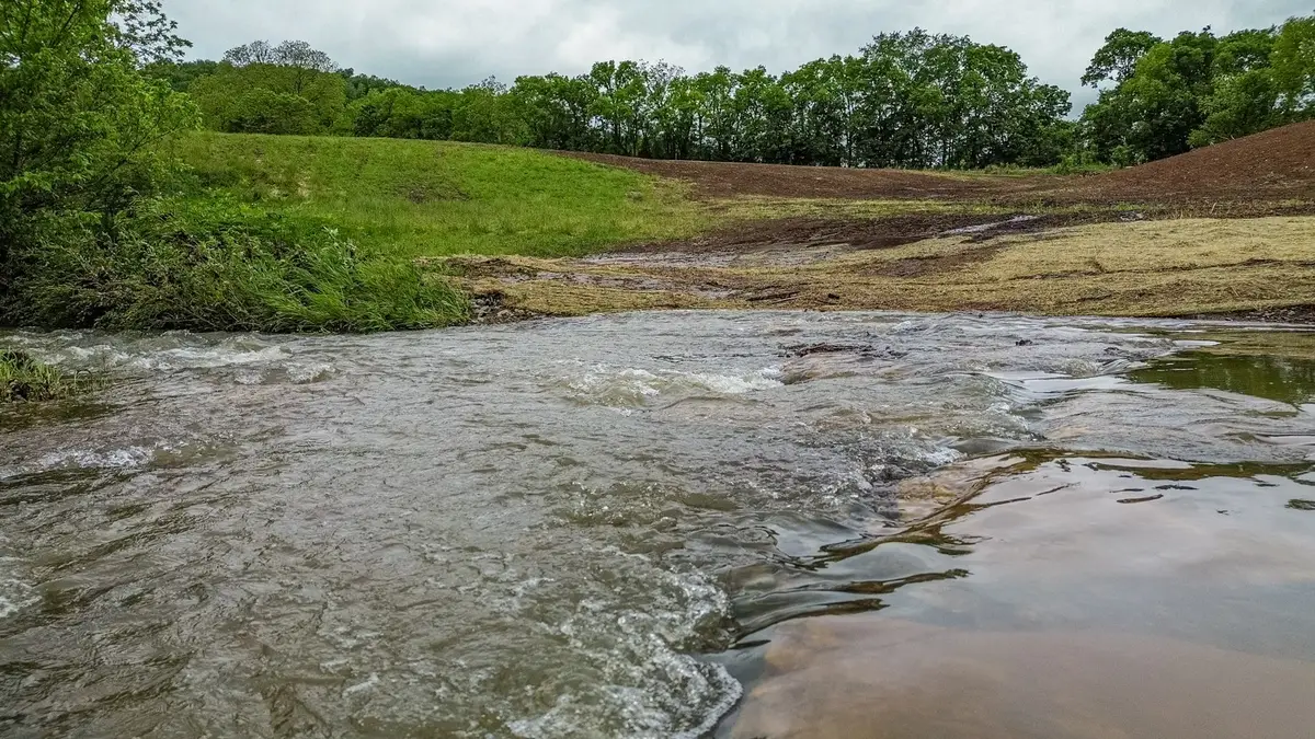 0 Ostella Rd, Cornersville, TN 37047 - Image #1