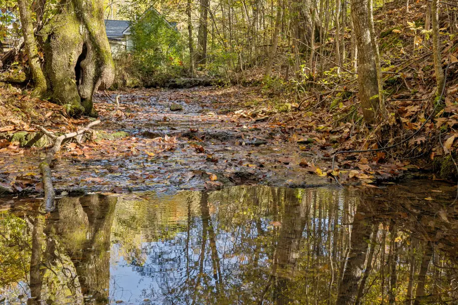 7489 Shoals Branch Rd, Primm Springs, TN 38476 - Image #2