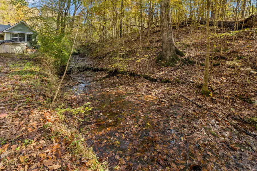 7489 Shoals Branch Rd, Primm Springs, TN 38476 - Image #3