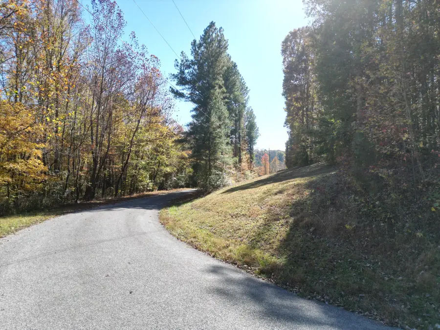0 Jim Sutton Rd, Leoma, TN 38468 - Image #3