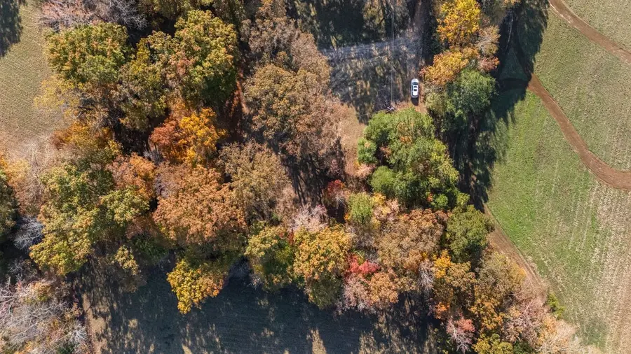 12225 Off Highway 79 N, Buchanan, TN 38222 - Image #2