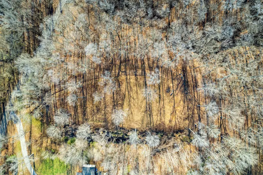 164 Lewis Cir, Dover, TN 37058 - Image #3