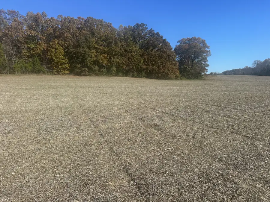 0 Petty Rd, Sparta, TN 38583 - Image #3