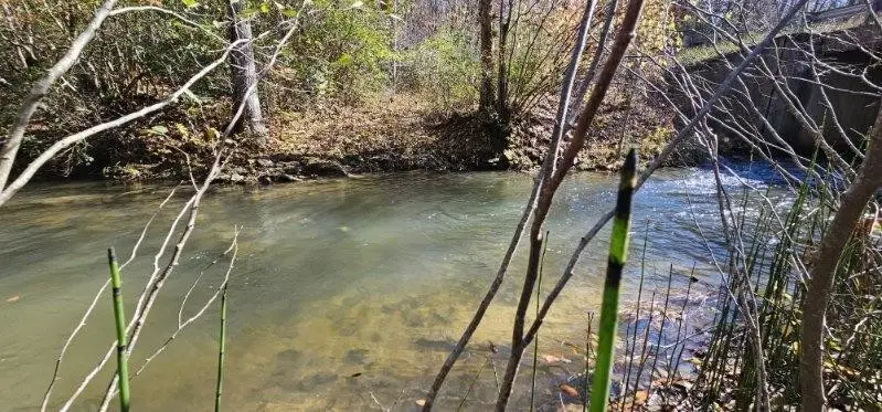 0 Woods Rd, Dunlap, TN 37327 - #1