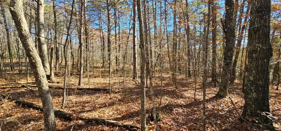 0 Woods Rd, Dunlap, TN 37327 - #3