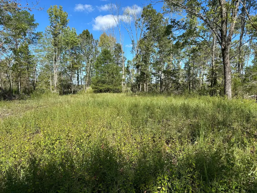 1 Hwy 230 W, Only, TN 37140 - Image #2