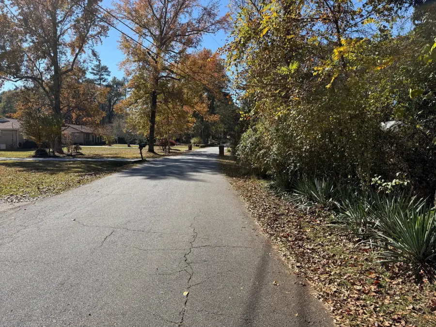 3285 Lake Drive, Lawrenceville, GA 30044 - Image #2