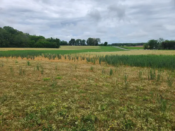 0 Fredonia Rd, Manchester, TN 37355