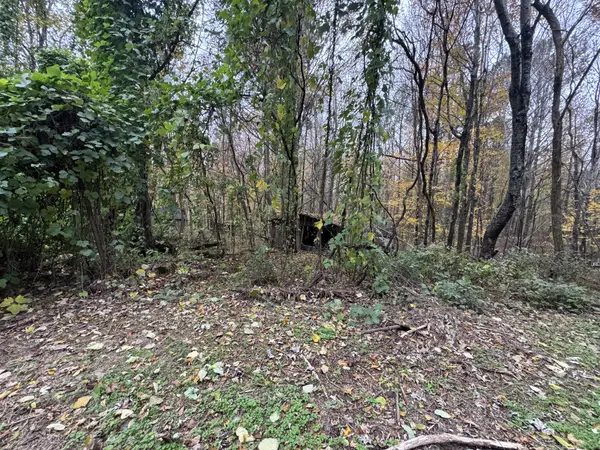 233 Poston Chapel Ln, Gainesboro, TN 38562