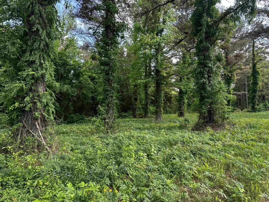 0 Hwy 57, Michie, TN 38357 - Image #2