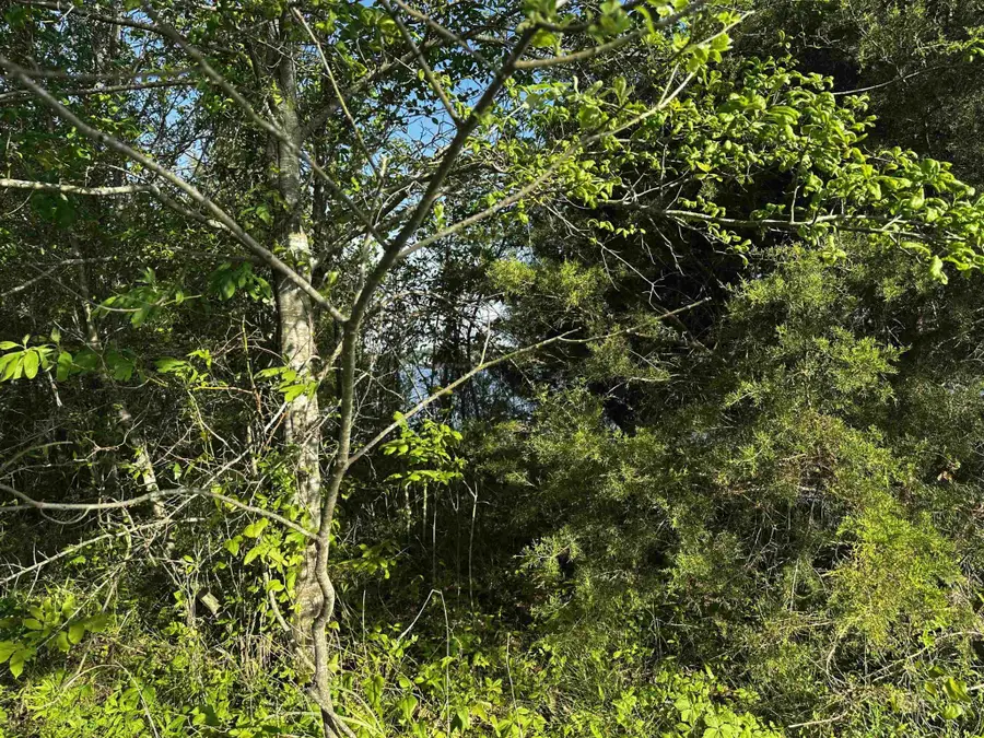 0 Catfish Ln, Crump, TN 38327 - Image #3