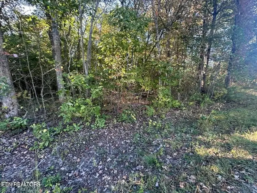 0 Falling Leaf Rd, Jamestown, TN 38556 - Image #2