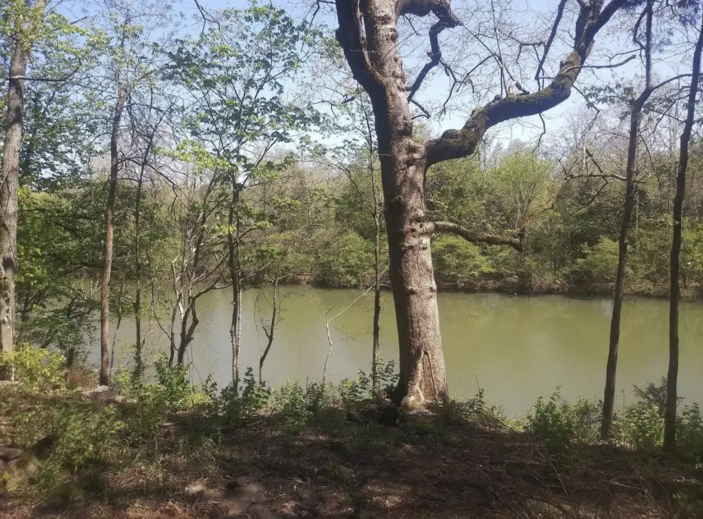 7891 Highway 70 S, Nashville, TN 37221 - Image #1