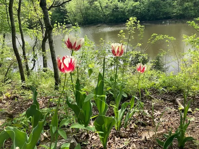 7891 Highway 70 S, Nashville, TN 37221 - Image #3