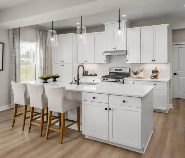 3071 Paddock Park, Pleasant View, TN 37146 - Image #2