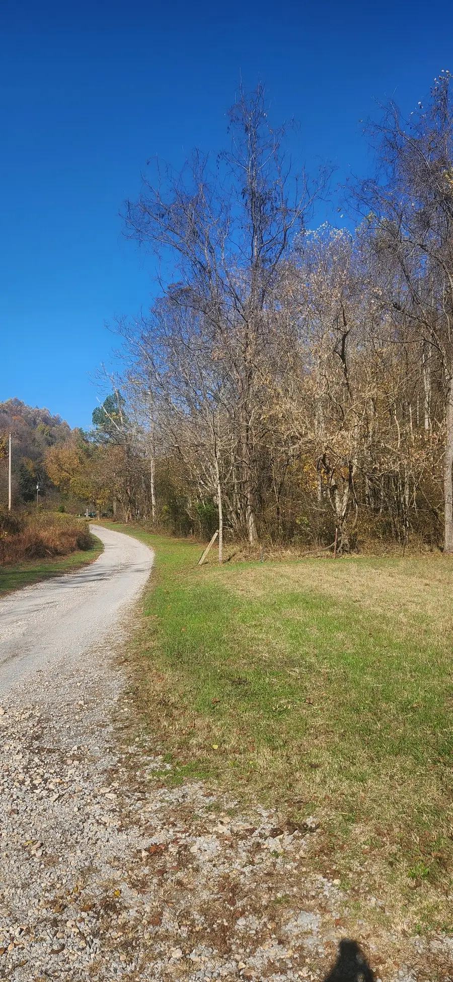 0 Ferguson Road, Cornersville, TN 37047 - Image #2