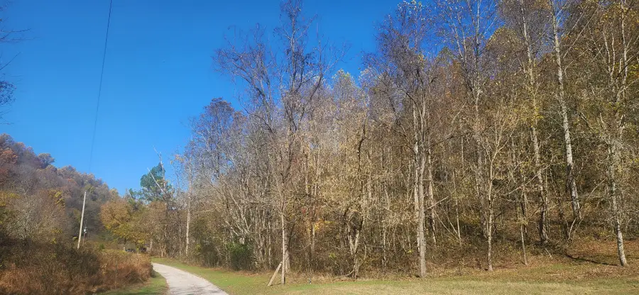 0 Ferguson Road, Cornersville, TN 37047 - Image #3